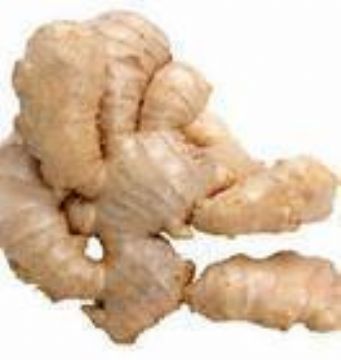 Ginger Extract